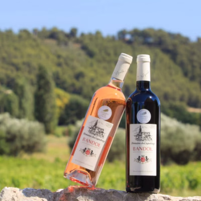 Bandol Domaine de Cagueloup