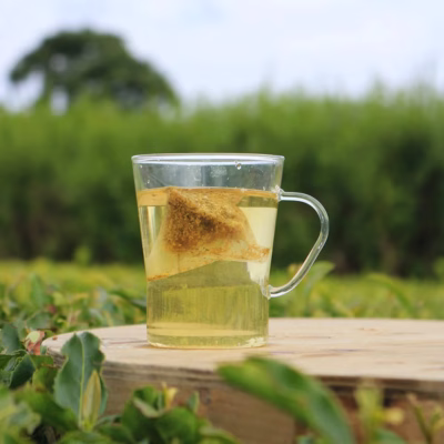 The Chamomille Tea